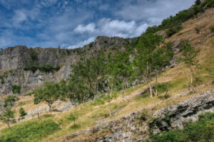 Cheddar Gorge